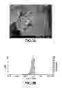Fig. 04 - METHOD OF PRODUCING SILICON-CONTAINING COMPOSITION, ANODE MATERIAL AND METHOD OF PRODUCING ANODE ELECTRODE OF LITHIUM-ION BATTERY