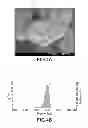 Fig. 05 - METHOD OF PRODUCING SILICON-CONTAINING COMPOSITION, ANODE MATERIAL AND METHOD OF PRODUCING ANODE ELECTRODE OF LITHIUM-ION BATTERY