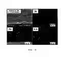 Fig. 06 - PROCESS FOR PREPARING ELECTROACTIVE INSERTION COMPOUNDS AND ELECTRODE MATERIALS OBTAINED THEREFROM