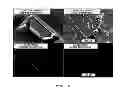 Fig. 07 - PROCESS FOR PREPARING ELECTROACTIVE INSERTION COMPOUNDS AND ELECTRODE MATERIALS OBTAINED THEREFROM
