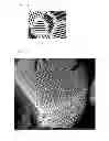 Fig. 02 - Porous composite and manufacturing method thereof