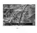 Fig. 04 - Versatile Single-Layer Lithium Ion Battery Separators Having Nanofiber and Microfiber Components