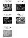 Fig. 04 - Method for producing sulfide solid electrolyte materials
