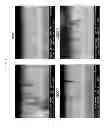 Fig. 03 - SOLID OXIDE FUEL CELL COMPRISING POST HEAT-TREATED COMPOSITE CATHODE AND METHOD FOR PREPARING SAME