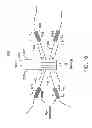 Fig. 11 - METHODS FOR MANUFACTURING VOLUME BRAGG ELEMENTS