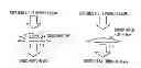 Fig. 01 - Surface Control Apparatuses Reducing Print Defects and Methods of Using Same