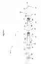 Fig. 12 - Methods and materials for detecting viral or microbial infections