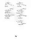 Fig. 02 - Labelled nucleotides
