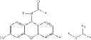 Fig. 06 - Labelled nucleotides