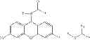 Fig. 07 - Labelled nucleotides