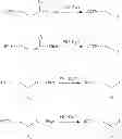 Fig. 08 - Labelled nucleotides