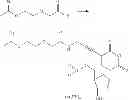 Fig. 22 - Labelled nucleotides
