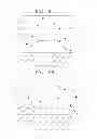 Fig. 06 - Polynucleotide and use thereof