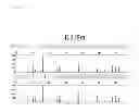 Fig. 06 - Fast PCR for STR Genotyping