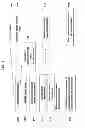 Fig. 02 - Sequencing formalin fixed paraffin embedded samples