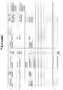 Fig. 09 - Sequencing formalin fixed paraffin embedded samples