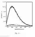 Fig. 06 - Methods and compositions for detection and analysis of polynucleotides using light harvesting multichromophores