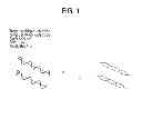 Fig. 02 - Compositions for recombinase polymerase amplification