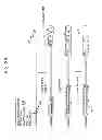 Fig. 03 - Compositions for recombinase polymerase amplification