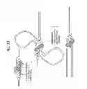 Fig. 06 - Compositions for recombinase polymerase amplification