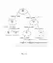Fig. 22 - DIAGNOSIS OF SEPSIS