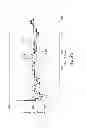 Fig. 24 - DIAGNOSIS OF SEPSIS