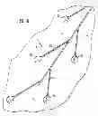 Fig. 07 - Devices And Method For Positioning Dried Reagent In Microfluidic Devices