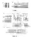 Fig. 04 - METHODS AND COMPOSITIONS FOR IDENTIFYING INCREASED RISK OF DEVELOPING FRAGILE X-ASSOCIATED DISORDERS