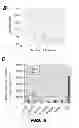 Fig. 10 - Method for predicting risk of metastasis