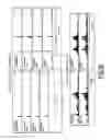 Fig. 09 - LINEAR DNA AMPLIFICATION