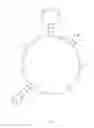 Fig. 03 - Aptamers that are specific for immunoglobulin-binding cell wall proteins