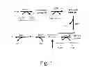 Fig. 02 - Orotate Transporter Encoding Marker Genes