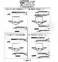 Fig. 02 - Assays for detecting enzymatic activity