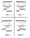 Fig. 05 - Assays for detecting enzymatic activity