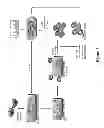 Fig. 06 - Method of determining, identifying or isolating cell-penetrating peptides