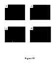 Fig. 29 - Method of determining, identifying or isolating cell-penetrating peptides