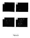 Fig. 30 - Method of determining, identifying or isolating cell-penetrating peptides