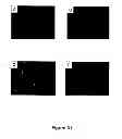 Fig. 32 - Method of determining, identifying or isolating cell-penetrating peptides