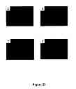 Fig. 33 - Method of determining, identifying or isolating cell-penetrating peptides