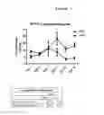 Fig. 10 - PENTRAXIN 3 ASSOCIATION WITH ASTHMA
