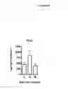 Fig. 12 - PENTRAXIN 3 ASSOCIATION WITH ASTHMA
