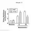 Fig. 15 - PENTRAXIN 3 ASSOCIATION WITH ASTHMA