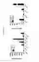 Fig. 16 - PENTRAXIN 3 ASSOCIATION WITH ASTHMA