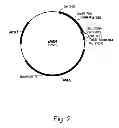 Fig. 03 - Methods For Degrading or Converting Plant Cell Wall Polysaccharides