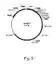 Fig. 04 - Methods For Degrading or Converting Plant Cell Wall Polysaccharides