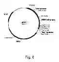 Fig. 07 - Methods For Degrading or Converting Plant Cell Wall Polysaccharides