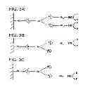 Fig. 04 - Multiple hybrid immunoassay