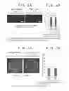 Fig. 07 - Cell Culture Device and Cell Culture Method