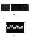 Fig. 04 - CELL CULTURE SUBSTRATE HAVING UNIFORM SURFACE COATING
