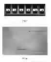 Fig. 05 - CELL CULTURE SUBSTRATE HAVING UNIFORM SURFACE COATING